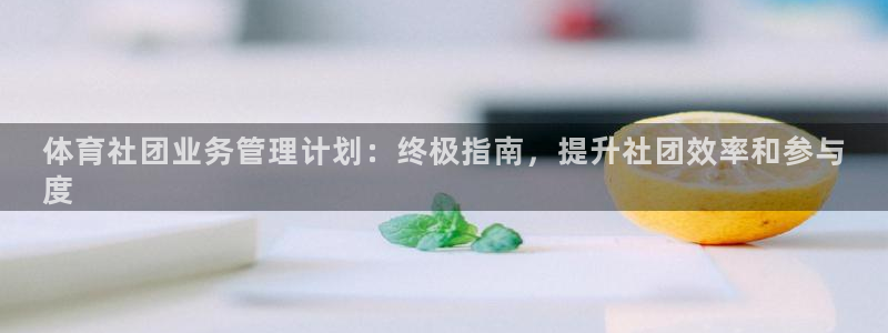 必一运动 b 体育素