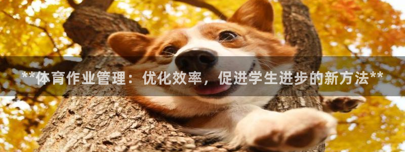 b体育必一下载：**