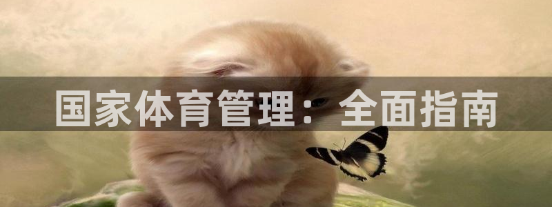 必一运动验证码：国家