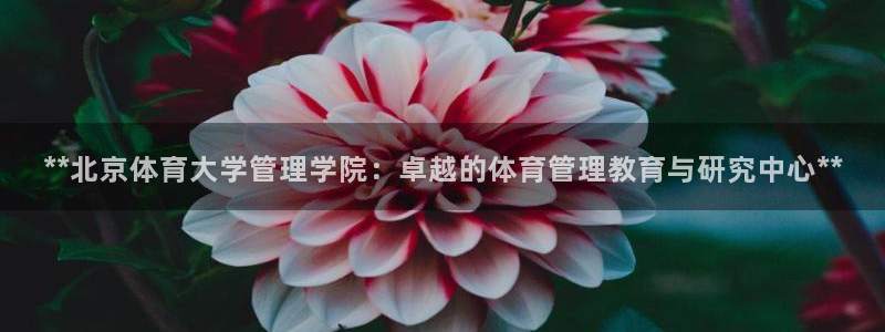必一体育下载意思：*