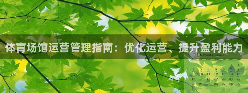 必一体育官方网站入口