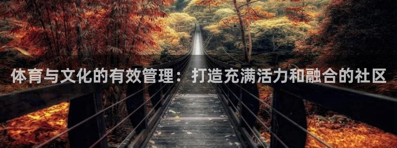 必一体育app官方下