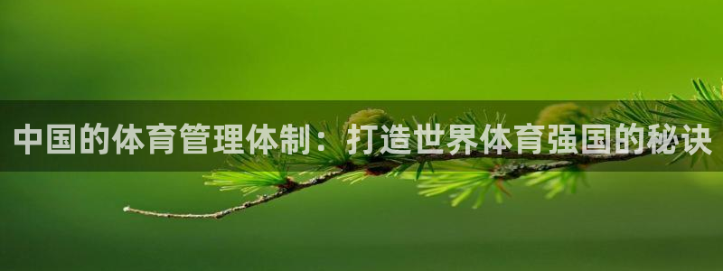 必一体育登入：中国的