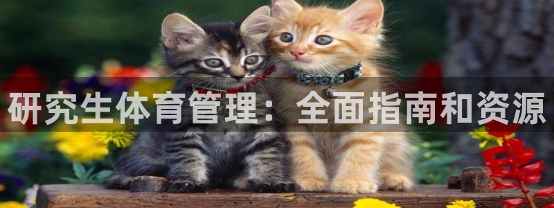 必一运动官网：研究生