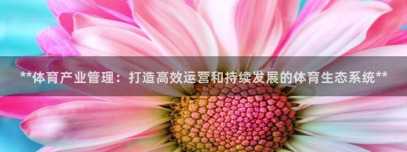 必一体育下载义：**