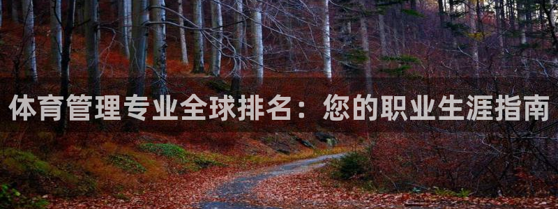 必一体育网址：体育管