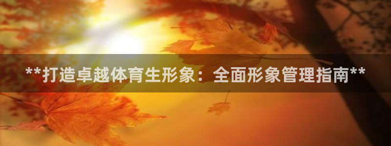 必一体育在线登陆：*