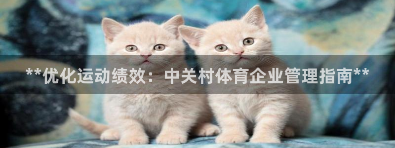必一体育网页登录版官
