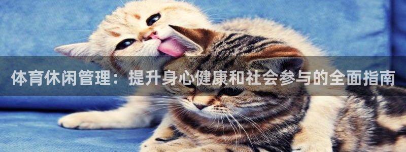 必一体育能提现大金额