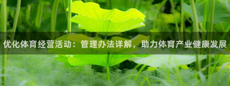 必一体育是啥：优化体