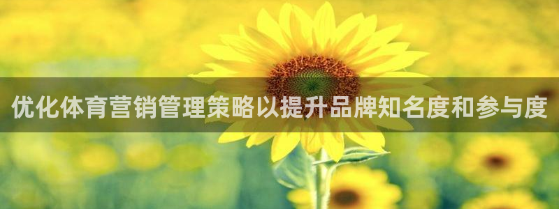 必一体育黑平台：优化