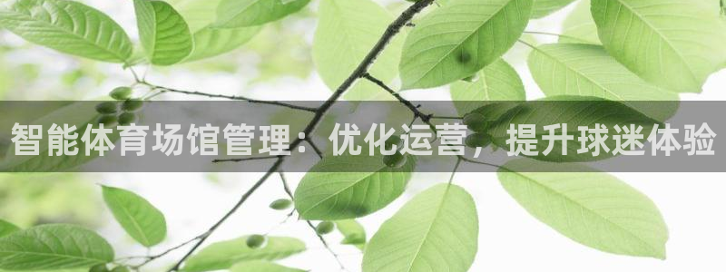 必一体育运动官网：智