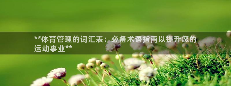 必一体育：**体育管
