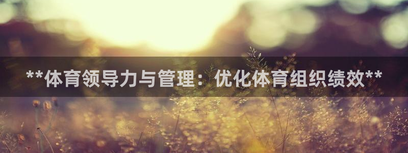 必一体育sport官