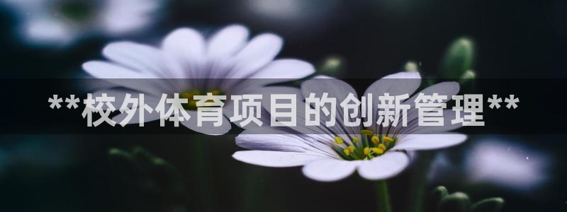 必一体育在线官网：*