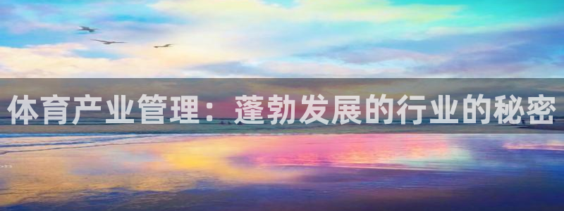 必一运动体育官网下载