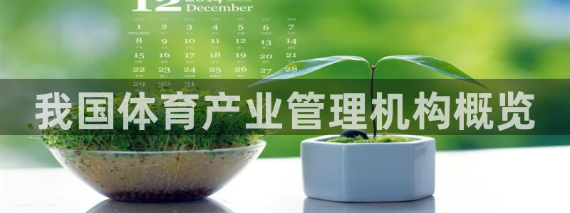 必一体育app平台下
