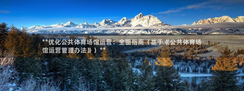 必一体育登录APP下