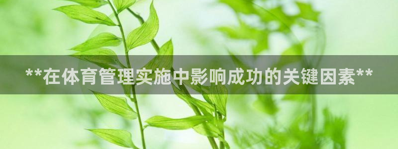 必一体育bsport