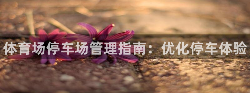 b体育必一运动网页版