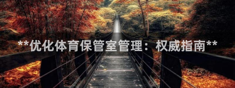 b体育必一运动网页版