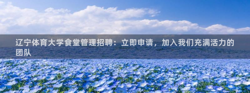 必一体育APP：辽宁