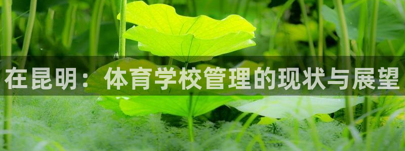 必一体育最新官网入口