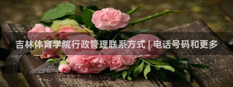 必一体育在线下载：吉