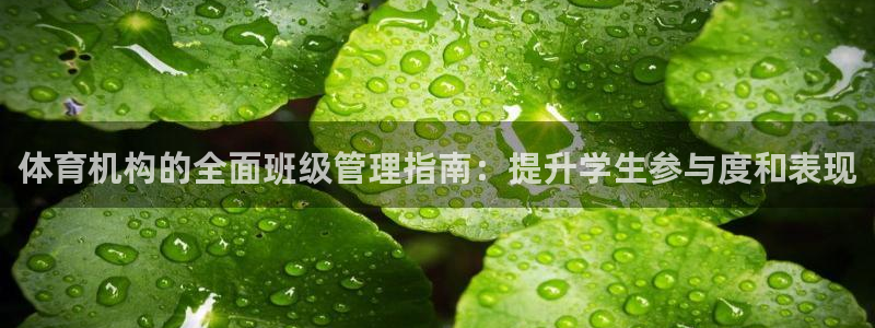 必一体育在线登录：体