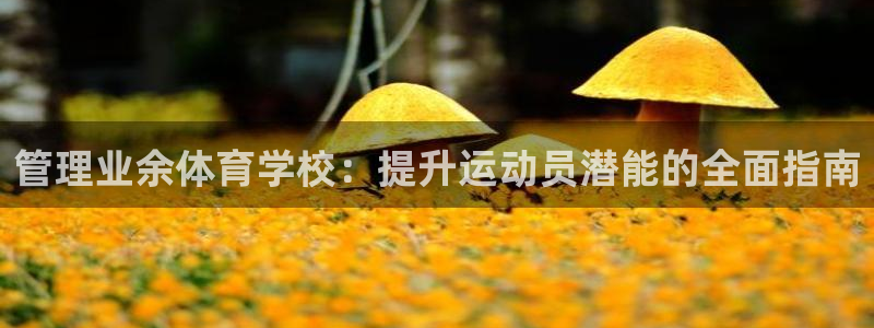 必一运动·(b-sp