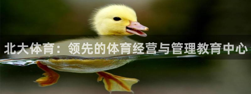 必一运动验证码：北大