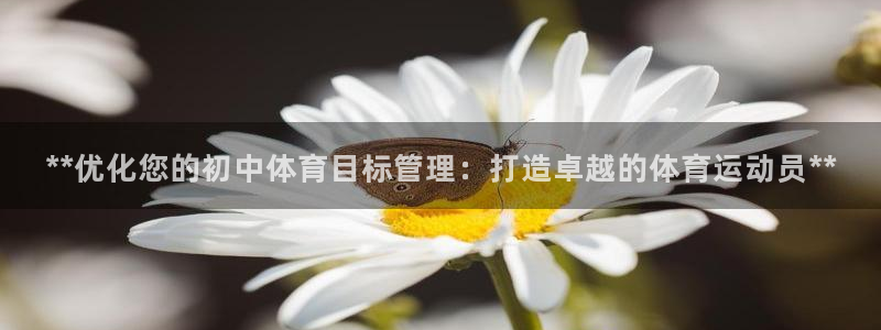 必一体育网站：**优