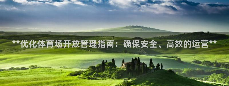 必一体育服下载最新版