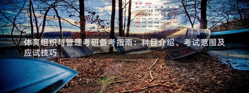 必一体育sport下