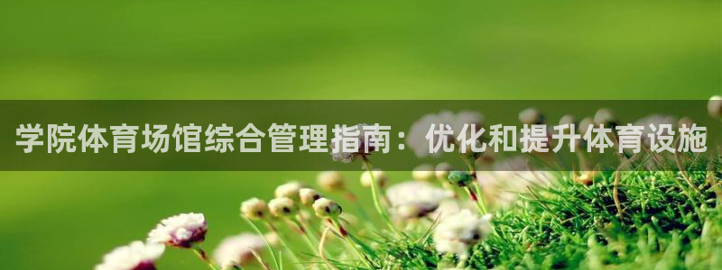 必一体育游戏玩法：学
