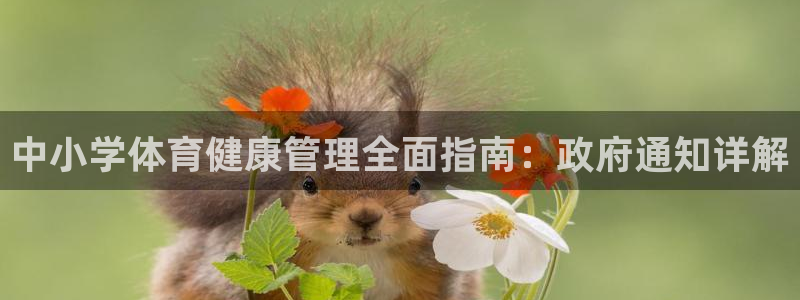 必一运动·(B-Sp