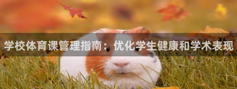 必一运动体育官网：学