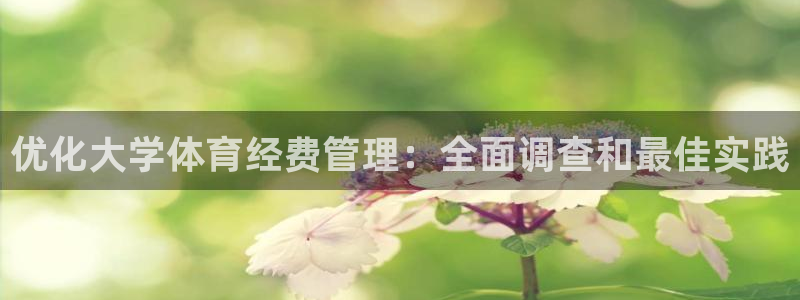 必一体育运动下载：优