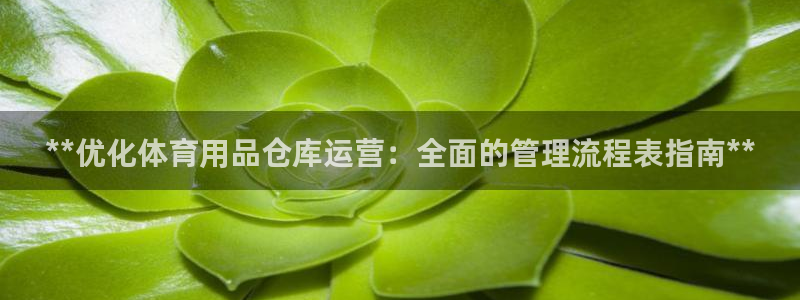 必一体育官方入口：*