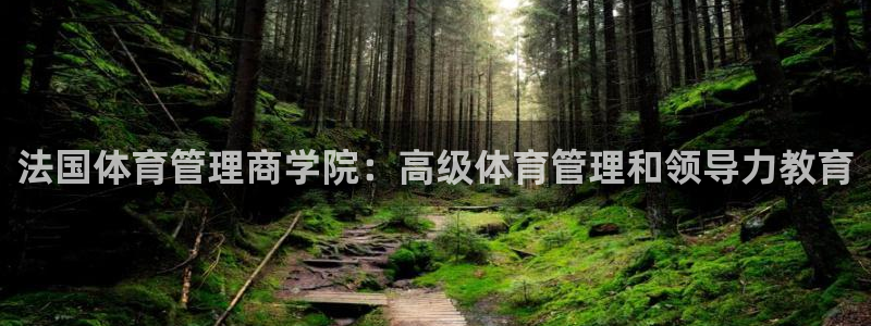 必一体育下载app：