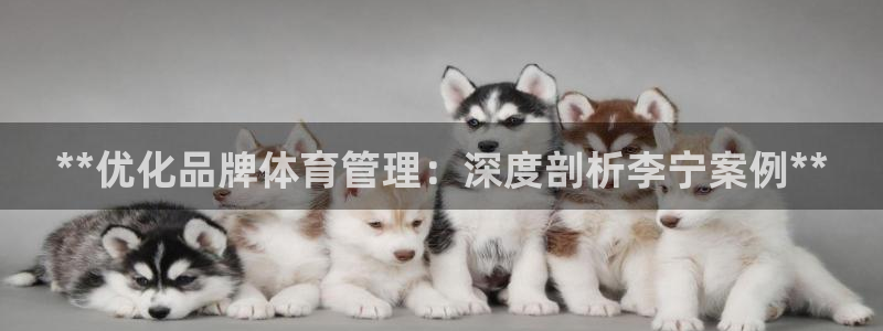 必一体育运动平台官网