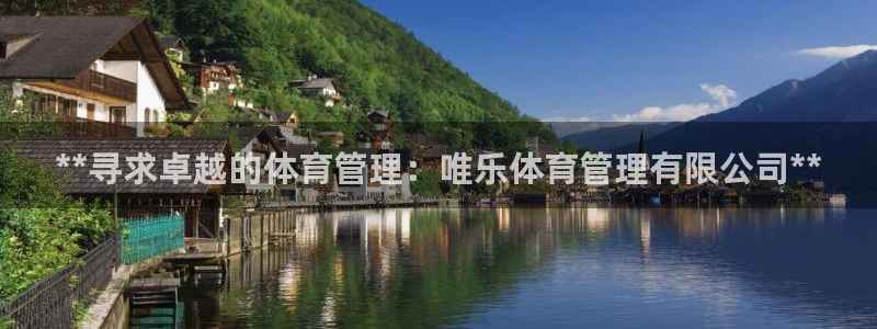 必一体育验证码：**