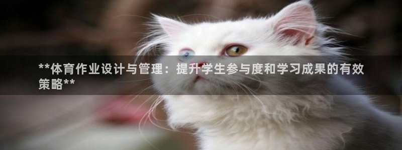 必一运动sport爱