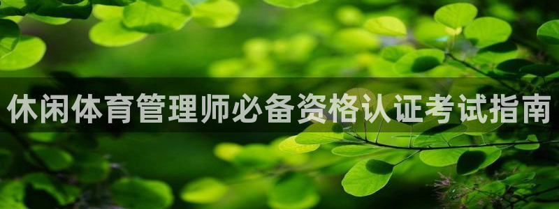 必一体育sport网