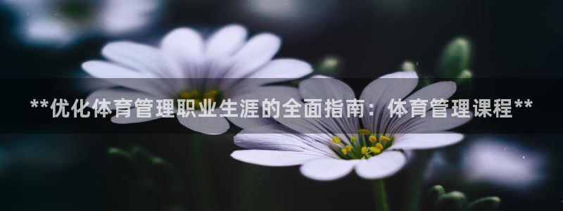 必一体育网站：**优