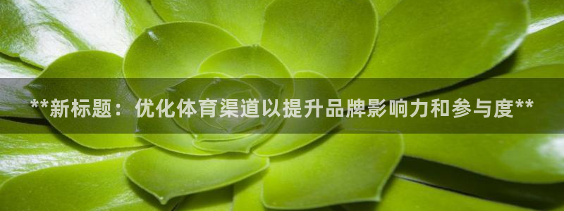 必一体育APP：**