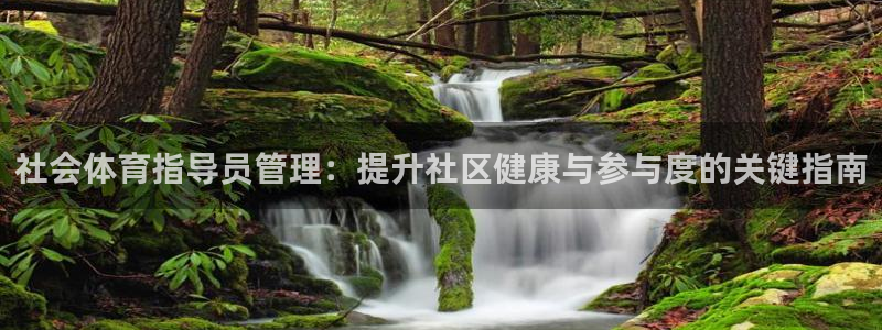 必一运动验证码：社会