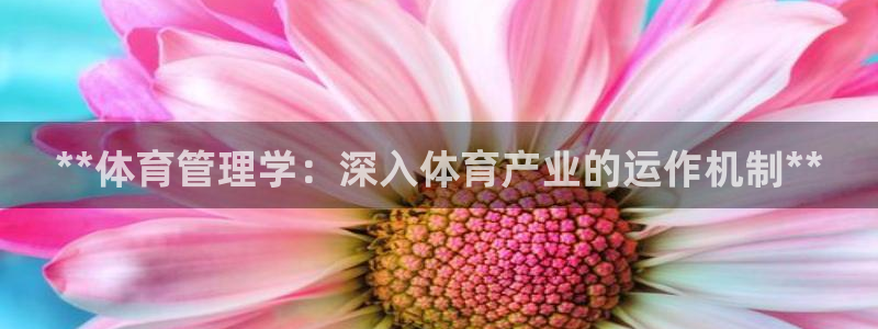 必一体育app平台下