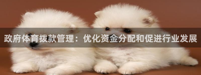 必一运动体育官网下载
