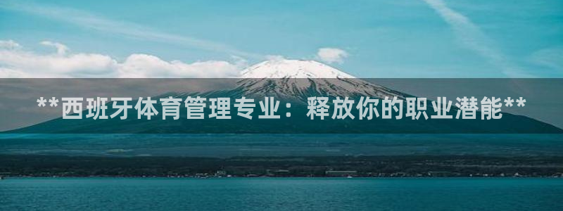 必一体育网页登录版官